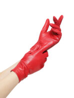 Перчатки Vitacci PN25 — изображение 2